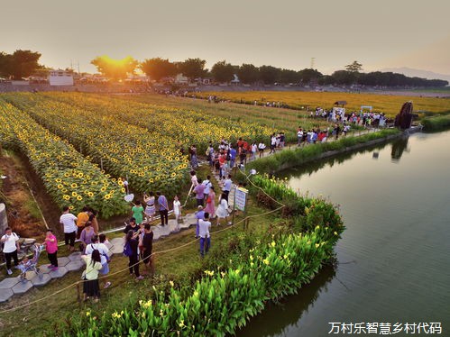 乡村道德伦理建设：重塑乡村精神家园的路径探索